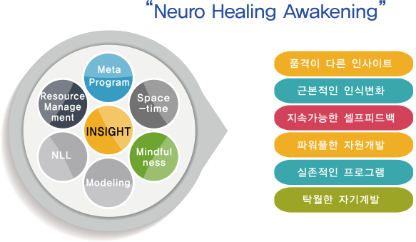 
			Neuro Healing Awakening (Meta Program, Space-time, Mindfulness, Modeling, NLL, Resource Management) : 품격이 다른 인사이트, 근본적인 인식변화, 지속가능한 셀프피드백, 파워풀한 자원개발, 실존적인 프로그램, 탁월한 자기계발
		